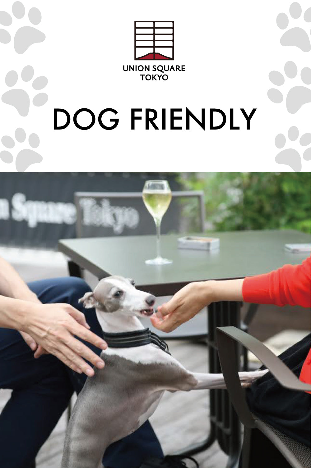 Dog Friendly